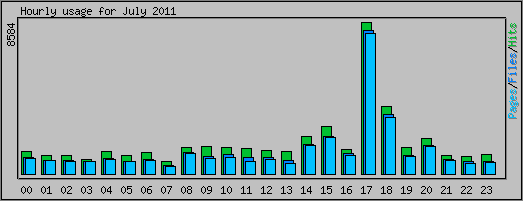 Hourly usage