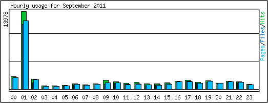 Hourly usage