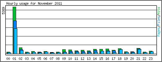 Hourly usage