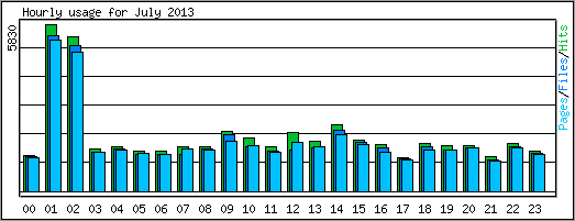 Hourly usage