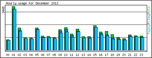 Hourly usage