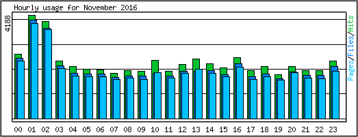 Hourly usage