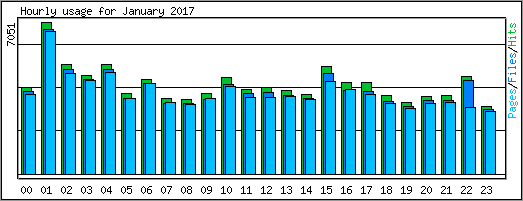 Hourly usage