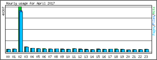 Hourly usage