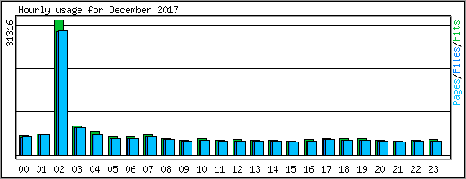 Hourly usage