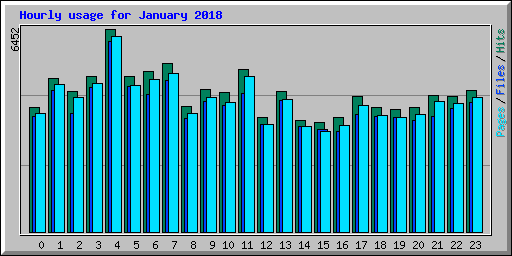 Hourly usage for January 2018